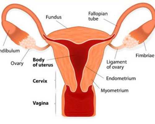早孕試紙的正確用法,這些細節(jié)你可能不知道